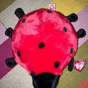Ty Red and Black Ladybug Plush